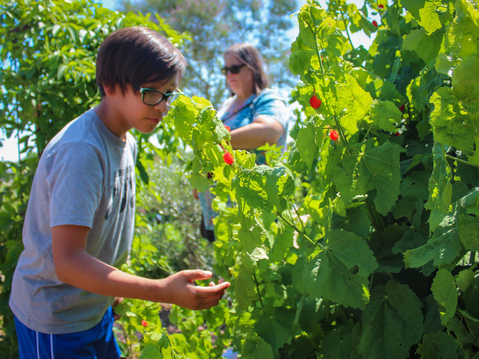 Fort Bend County Master Gardeners vegetable garden education center finally completed